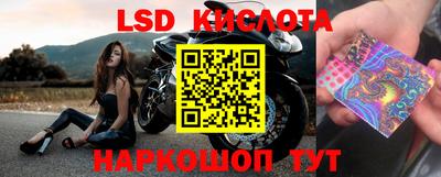 прущие грибы Гагарин