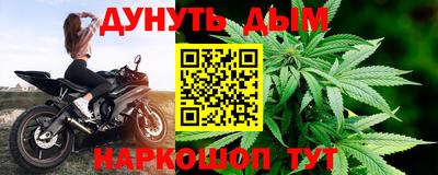 прущие грибы Гагарин
