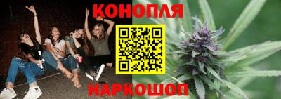 прущие грибы Гагарин