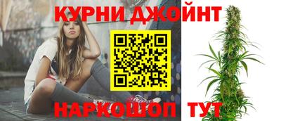 дурь Гатчина