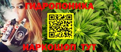 дурь Гатчина