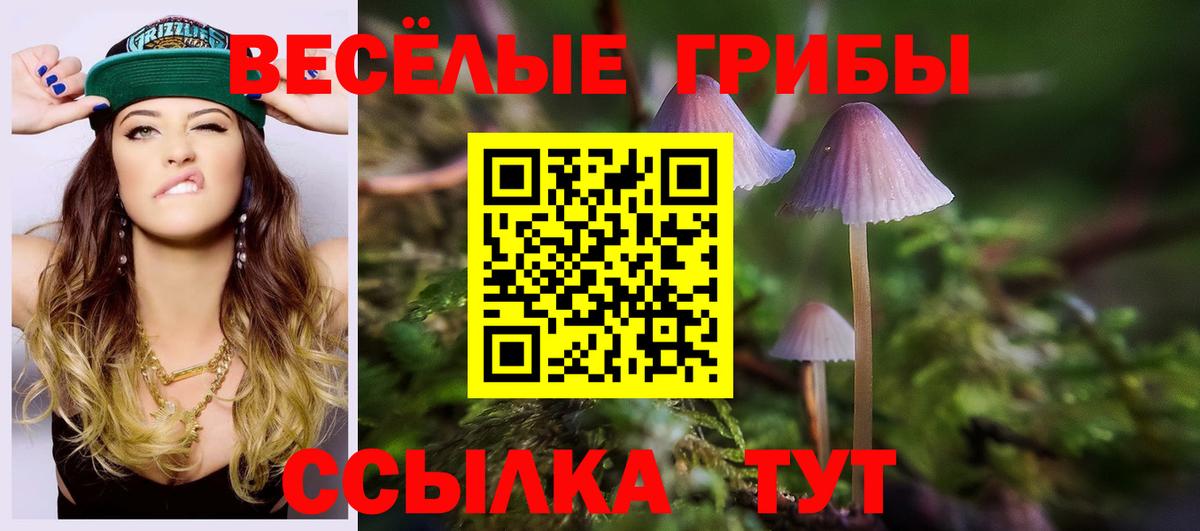 Псилоцибиновые грибы Cubensis  Псилоцибиновые грибы Psilocybe  Горячий Ключ  Вход с VPN 