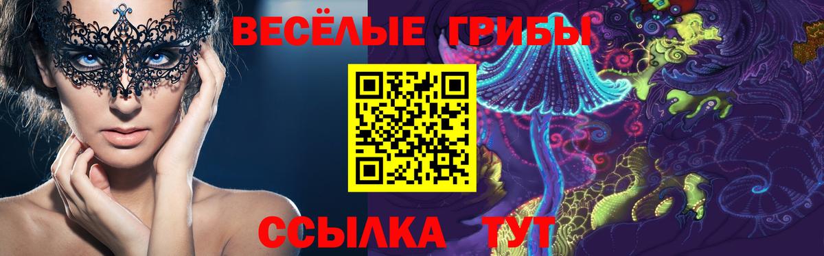 Галлюциногенные грибы Psilocybe Горячий Ключ